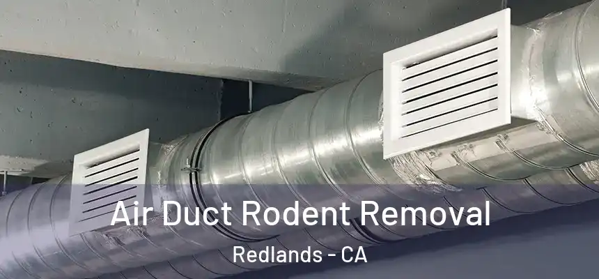 Air Duct Rodent Removal Redlands - CA