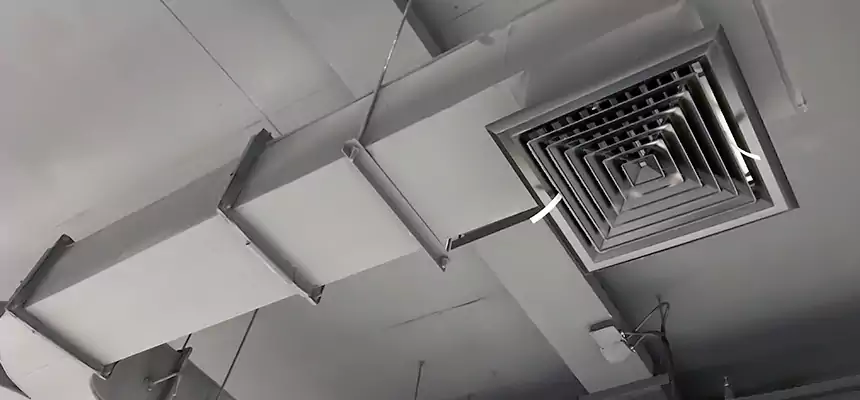 Restorative Allergy Relief Vent Cleaning – Coil, Blower & Housing Detail in Redlands