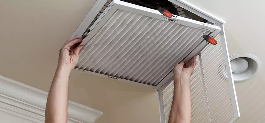 Our Insect Removal from Air Ducts Services in Redlands, CA