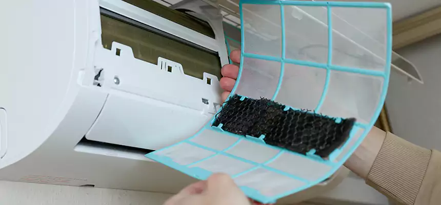 Gentle Ductwork Odor-Control Pet Dander Duct Cleaning in Redlands, CA