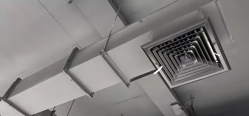 Our Rodent Droppings In Vents Services in Redlands, CA